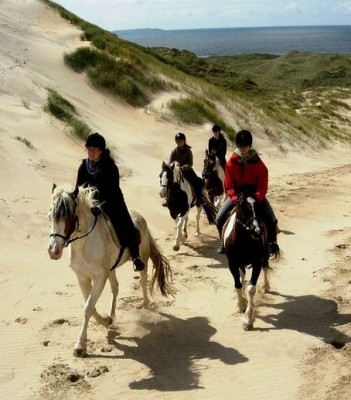 Notre petit groupe dans les dunes irlandaises ! =)